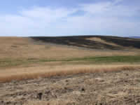 Sun 14 - Disking stops fire near Landreth Corner.